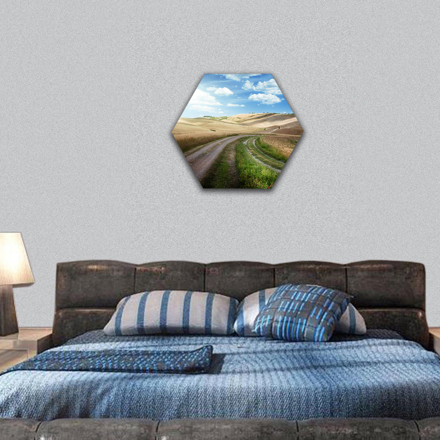 Road between the Fields of Tuscany, Italy hexagonal canvas wall art