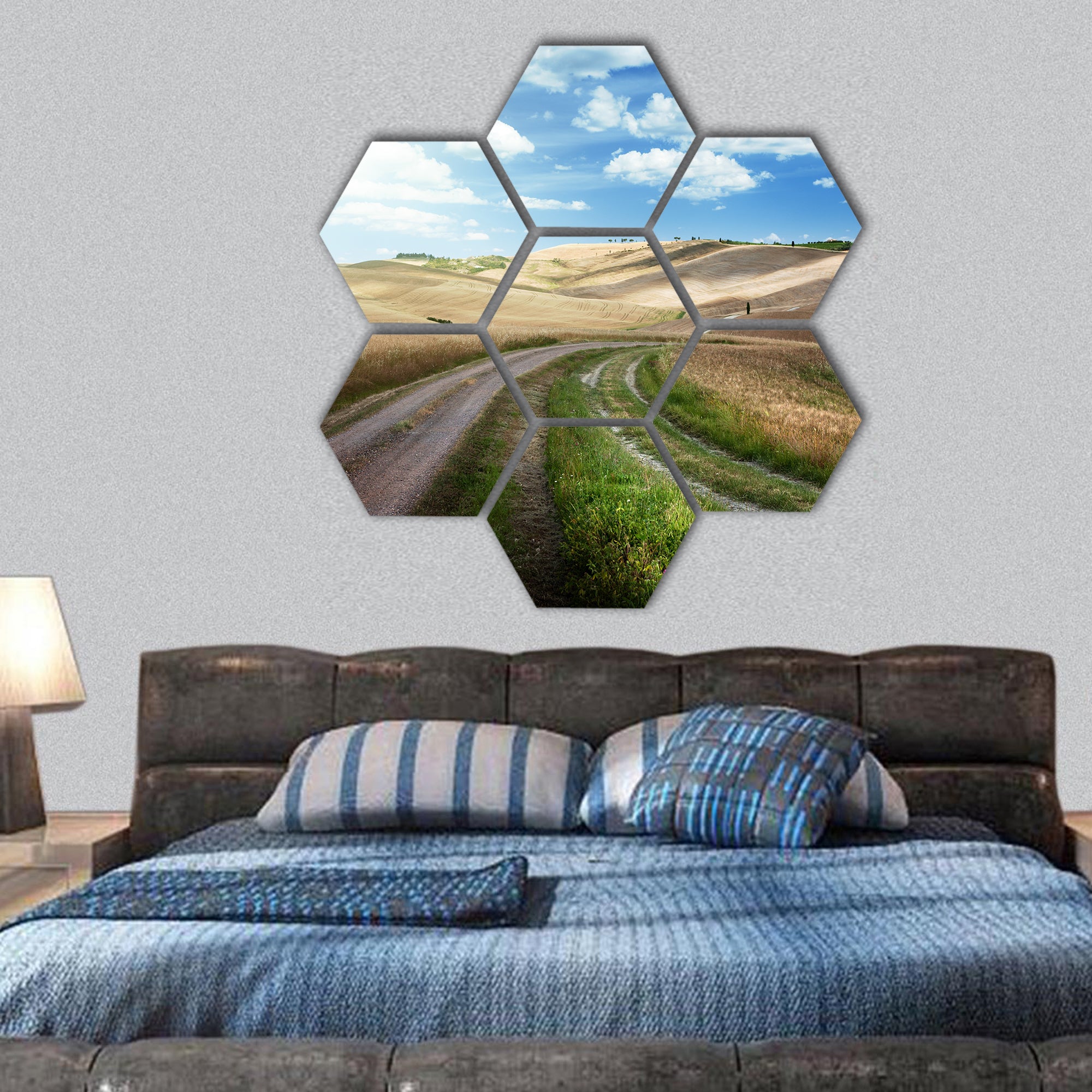 Road between the Fields of Tuscany, Italy hexagonal canvas wall art