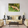 Red Fox Multi panel canvas wall art