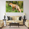 Red Fox Multi panel canvas wall art