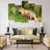 Red Fox Multi panel canvas wall art