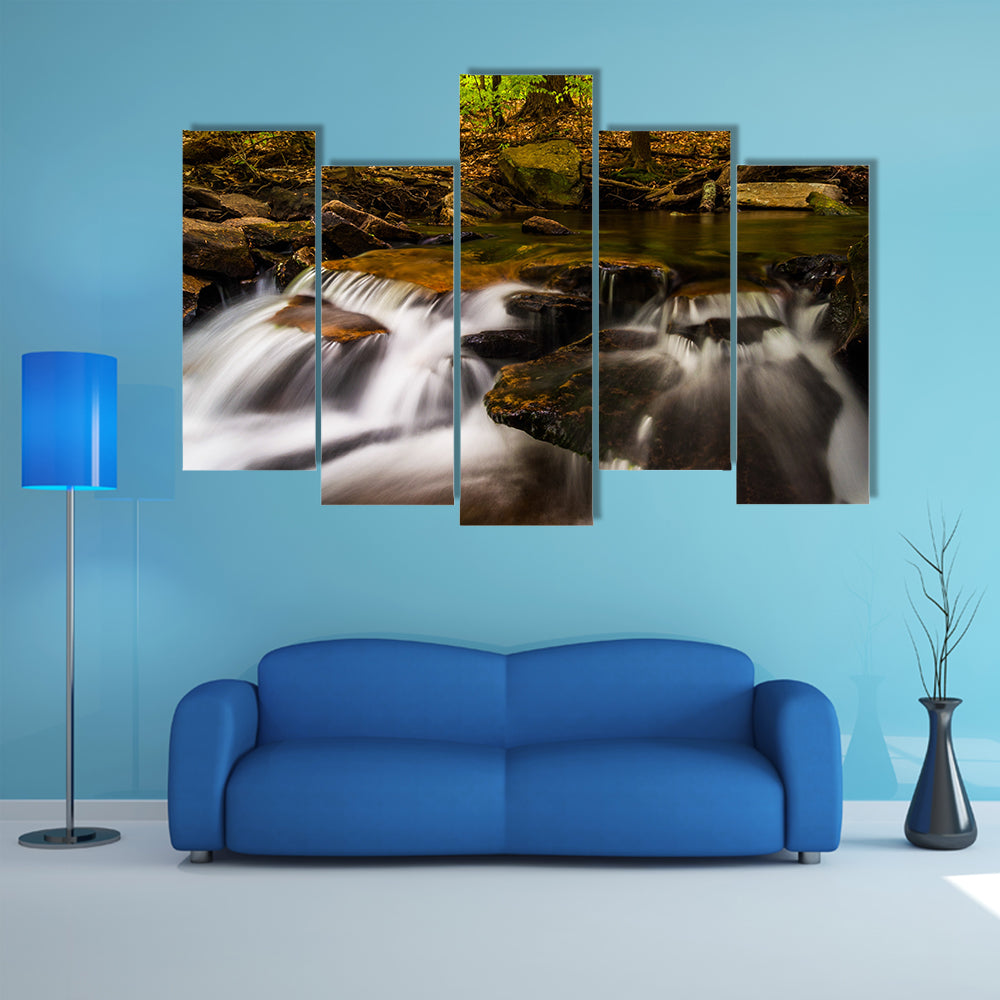 Small cascades along Glen Leigh, Ricketts Glen State Park, Pennsylvania multi panel canvas wall art