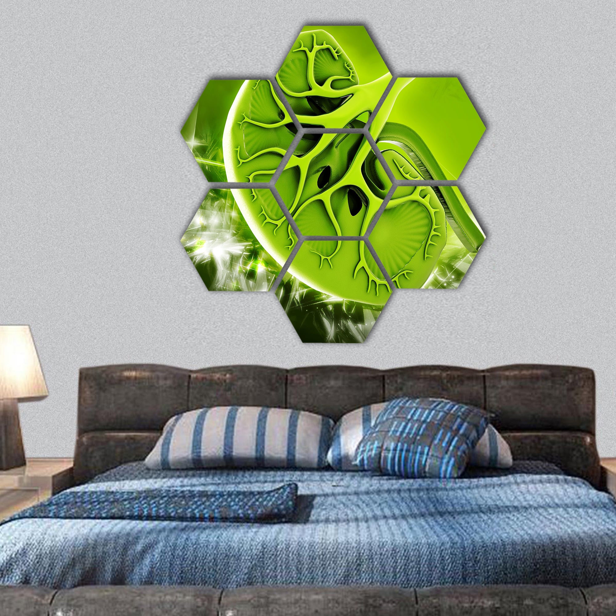 Digital illustration of kidney in colour background hexagonal canvas wall art