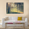 Evening forest with sun and volume light multi panel canvas wall art