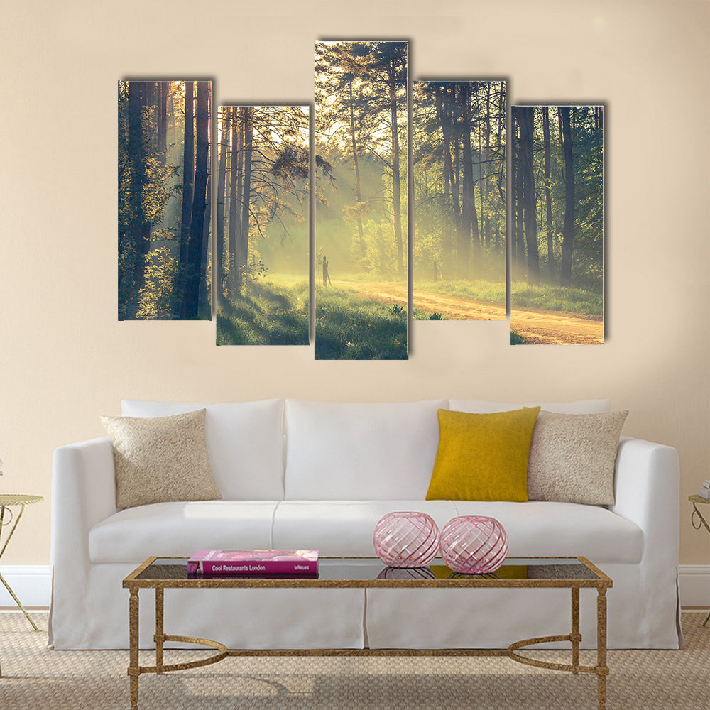Evening forest with sun and volume light multi panel canvas wall art