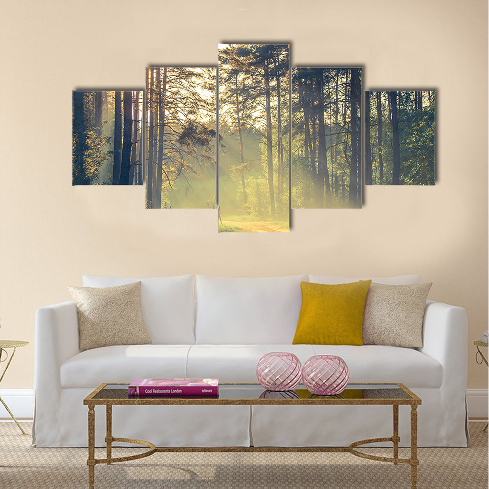 Evening forest with sun and volume light multi panel canvas wall art