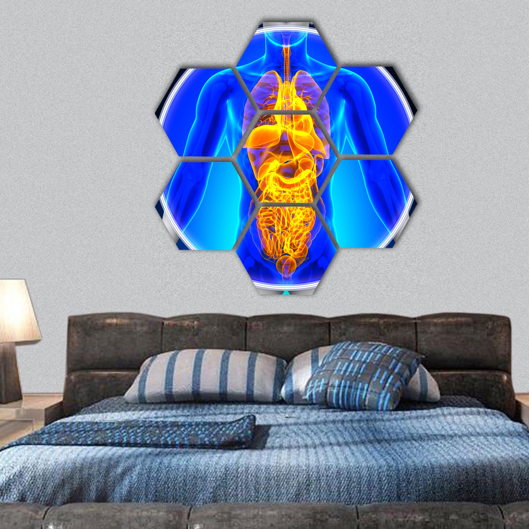 Medical X-Ray Scan All Organs hexagonal canvas wall art