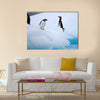 Jumping Gentoo Penguins  multi Panel Canvas wall Art