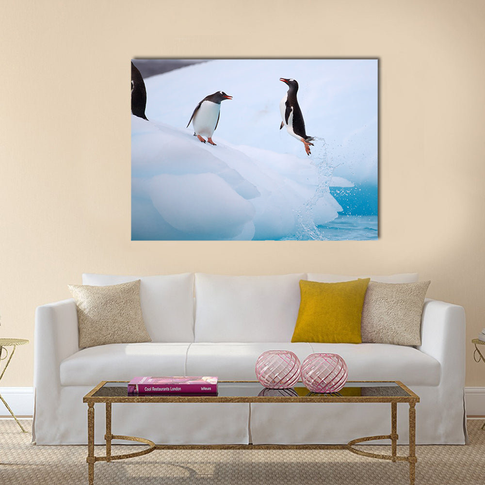 Jumping Gentoo Penguins  multi Panel Canvas wall Art