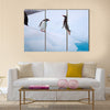 Jumping Gentoo Penguins  multi Panel Canvas wall Art