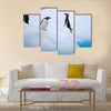 Jumping Gentoo Penguins  multi Panel Canvas wall Art