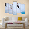 Jumping Gentoo Penguins  multi Panel Canvas wall Art