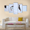 Jumping Gentoo Penguins  multi Panel Canvas wall Art