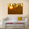 Wheat Crops in Sunset. Wheat Field Closeup Multi panel canvas wall art