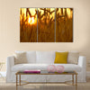 Wheat Crops in Sunset. Wheat Field Closeup Multi panel canvas wall art