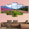 Fireweed highlights the view near Gothic Colorado multi panel canvas wall art