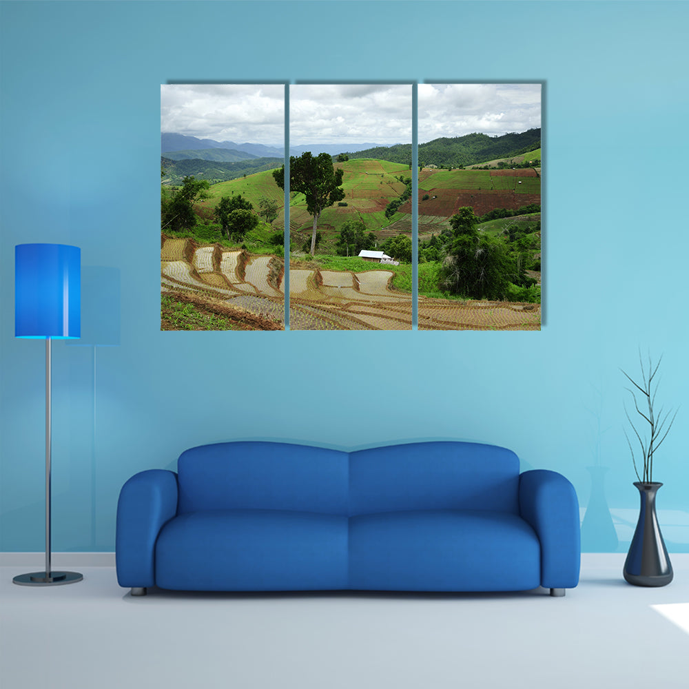 Rice Terrace at Maechaem in Thailand multi panel canvas wall art