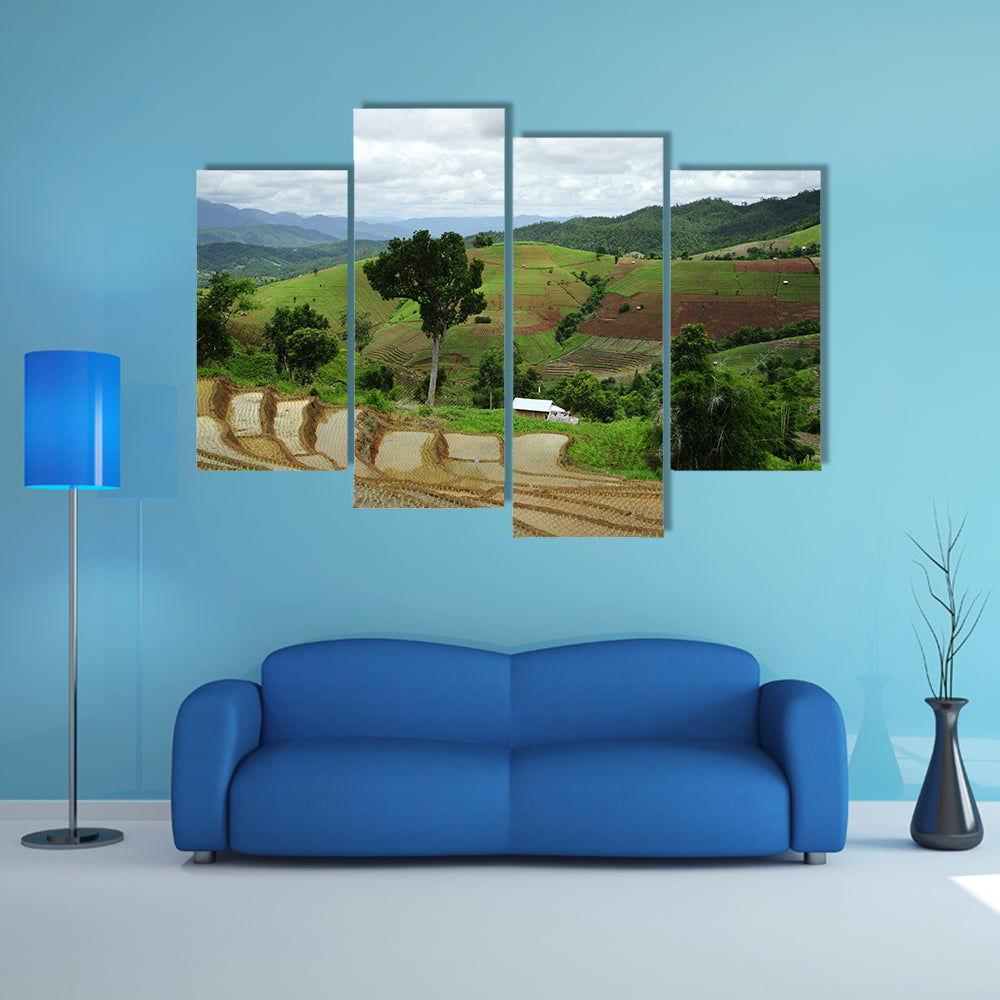 Rice Terrace at Maechaem in Thailand multi panel canvas wall art
