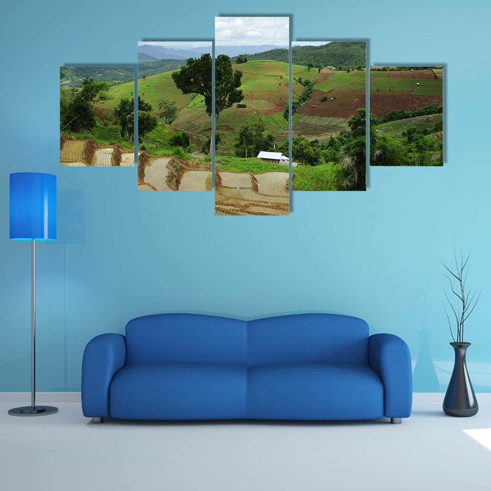 Rice Terrace at Maechaem in Thailand multi panel canvas wall art