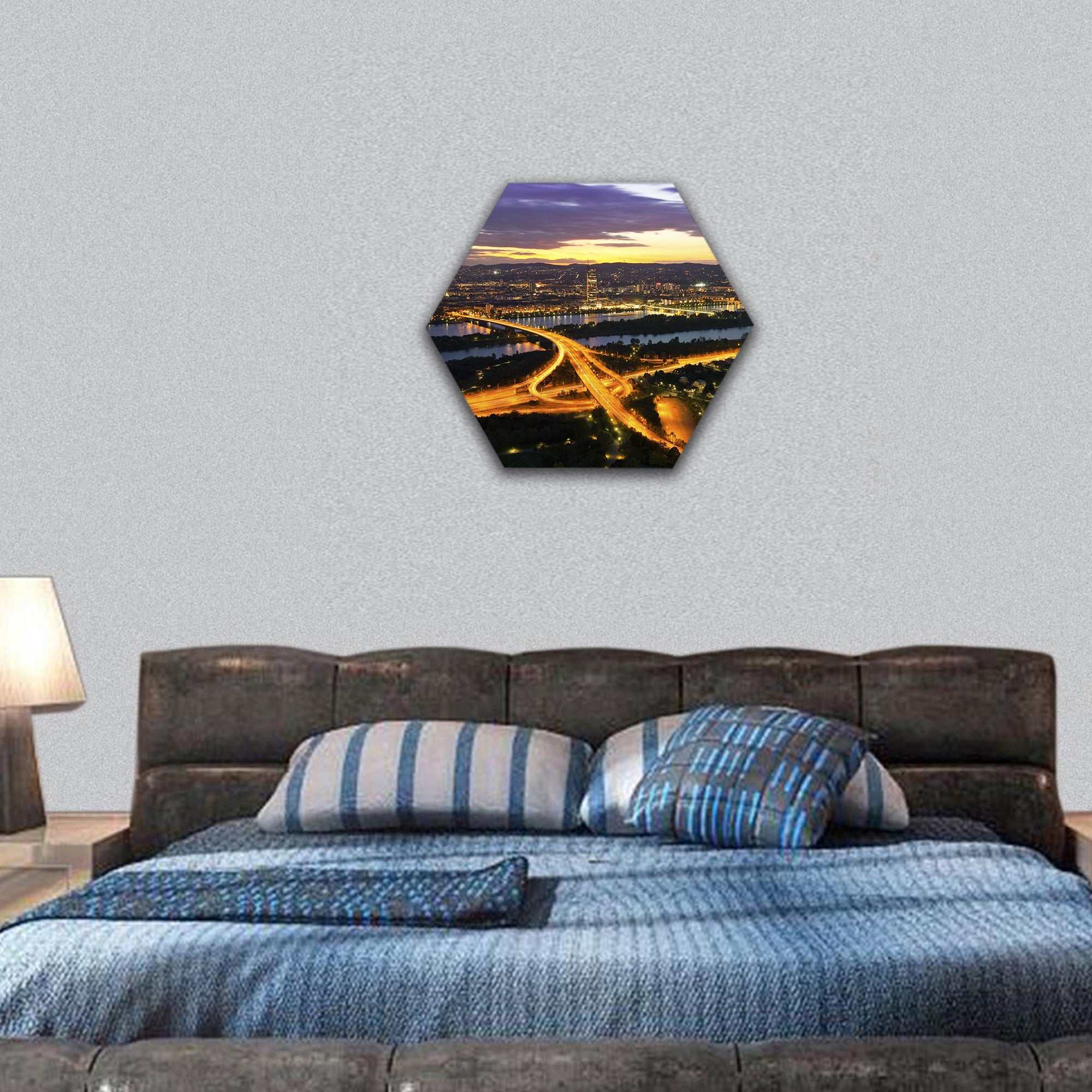 Vienna with Danube River Island Donauinsel hexagonal canvas wall art