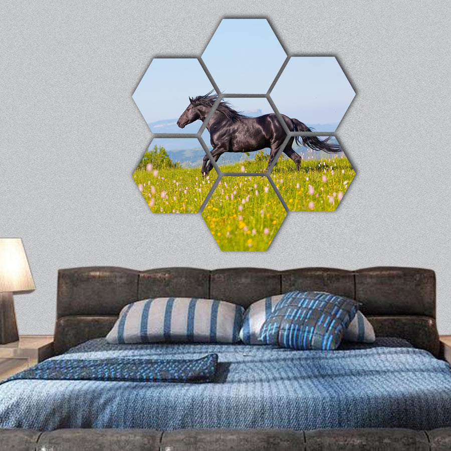 Arab racer runs on a green summer meadow hexagonal canvas wall art