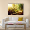 Beautiful Scene Misty Old Forest with Sun Rays, multi panel canvas wall art