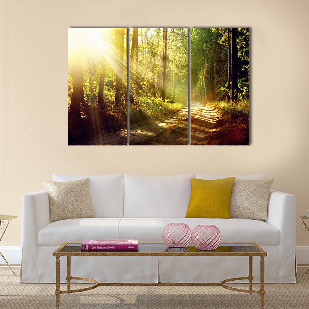 Beautiful Scene Misty Old Forest with Sun Rays, multi panel canvas wall art