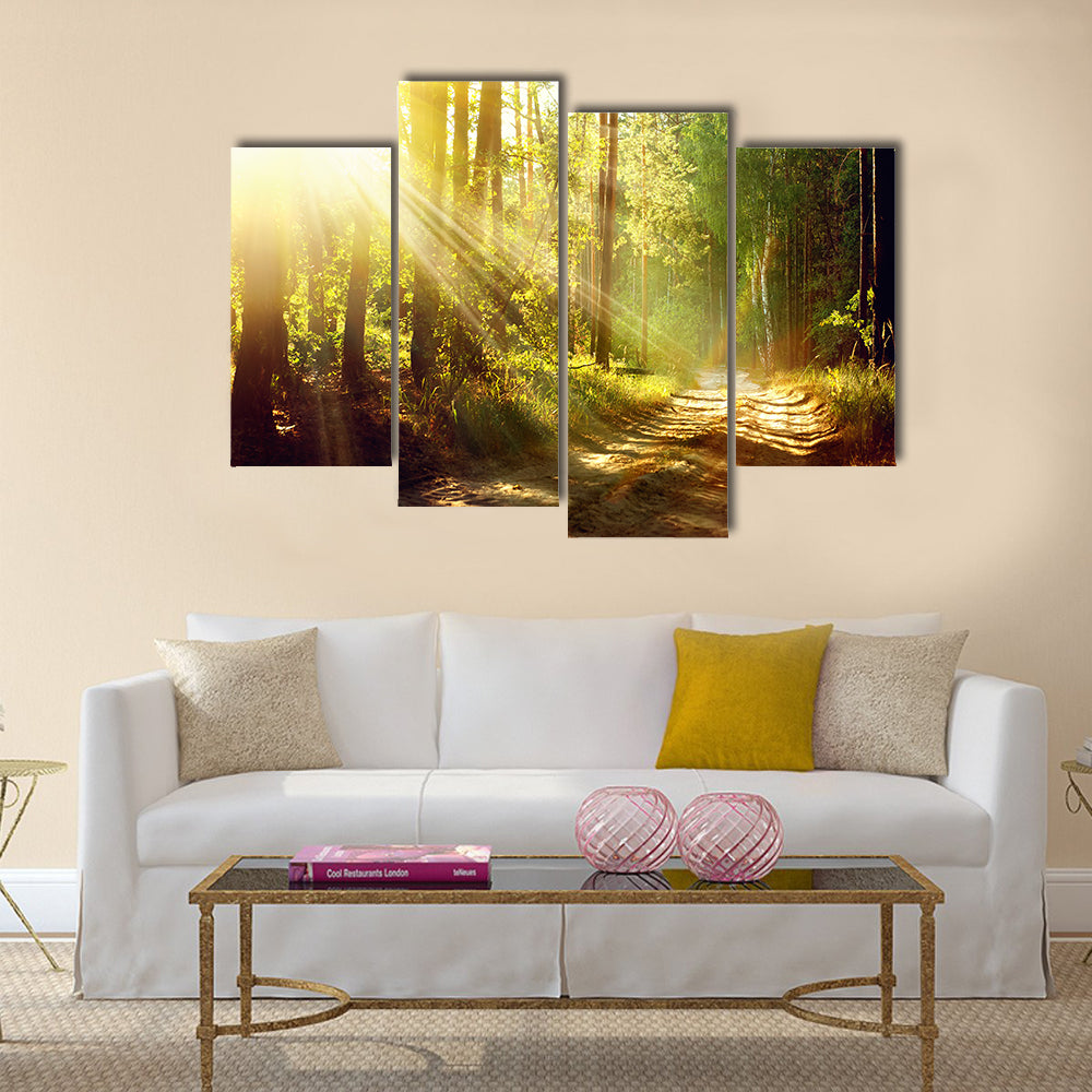 Beautiful Scene Misty Old Forest with Sun Rays, multi panel canvas wall art