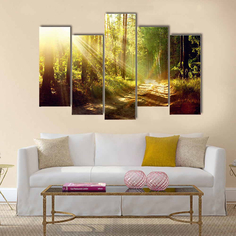 Beautiful Scene Misty Old Forest with Sun Rays, multi panel canvas wall art