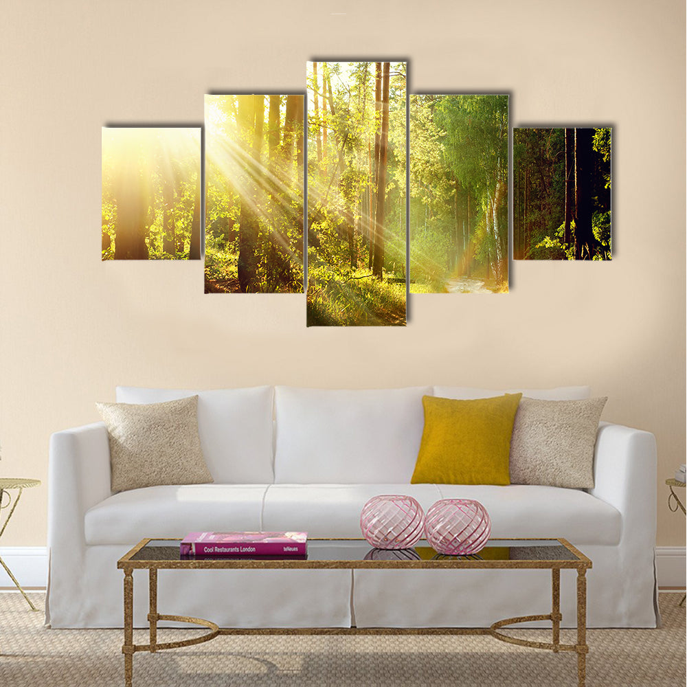 Beautiful Scene Misty Old Forest with Sun Rays, multi panel canvas wall art