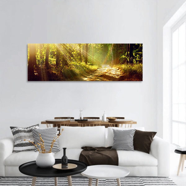 Scene Misty Old Forest with Sun Rays, Shadows and Fog panoramic canvas wall art