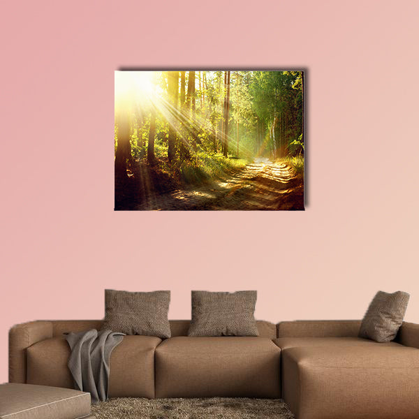 Beautiful Scene Misty Old Forest with Sun Rays multi panel canvas wall art