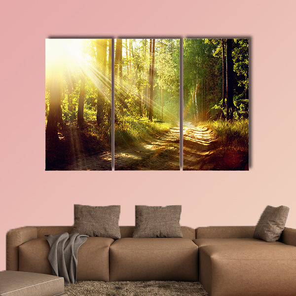Beautiful Scene Misty Old Forest with Sun Rays multi panel canvas wall art