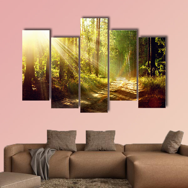 Beautiful Scene Misty Old Forest with Sun Rays multi panel canvas wall art