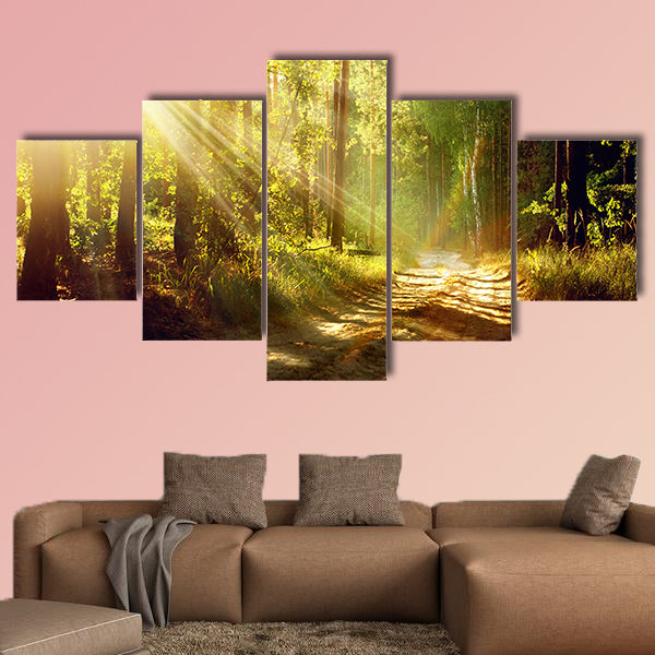 Beautiful Scene Misty Old Forest with Sun Rays multi panel canvas wall art