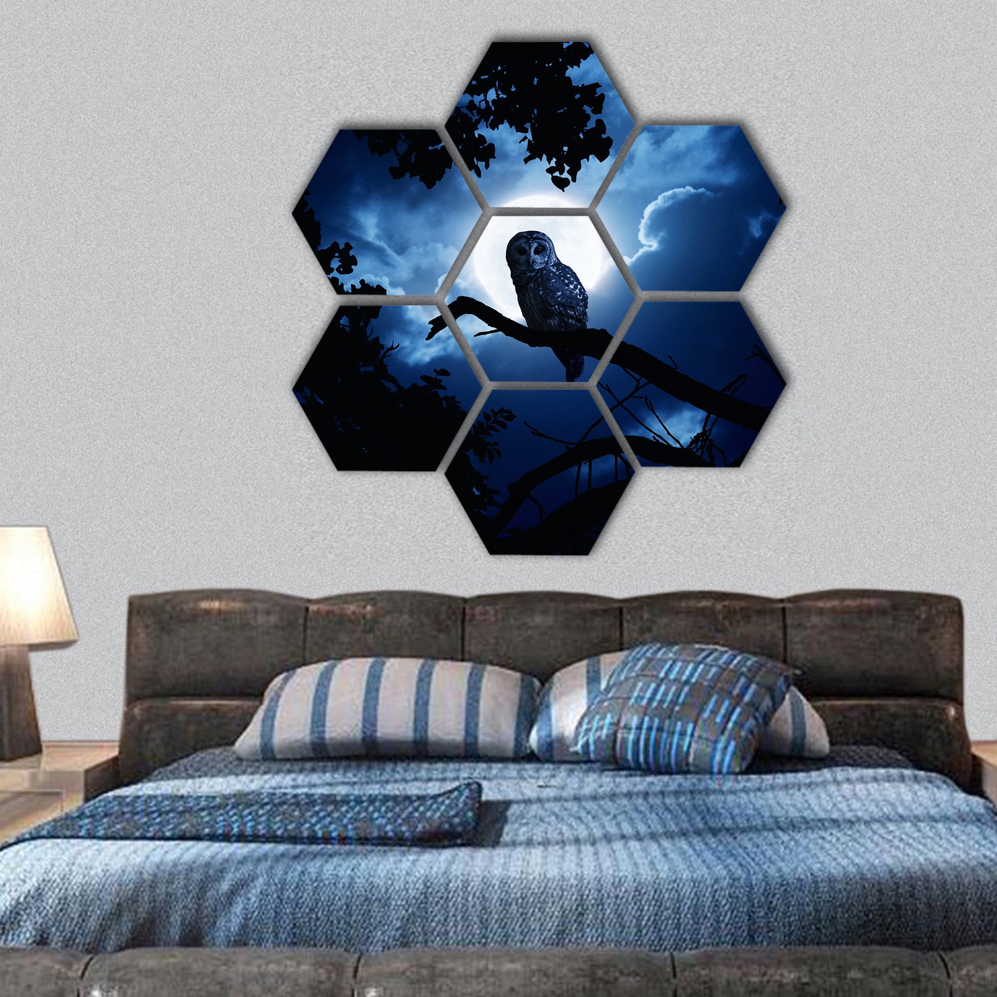 Barred Owl sits motionless in the blue moonlight slight hexagonal canvas wall art