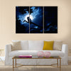 This is a photo of quiet night, bright moon, and Barred Owl sits motionless in the blue moonlight Multi panel canvas wall art