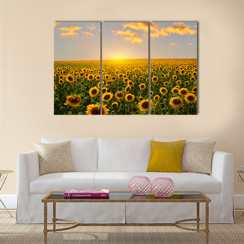 Field of blooming sunflowers on a background sunset Multi Panel Canvas Wall Art