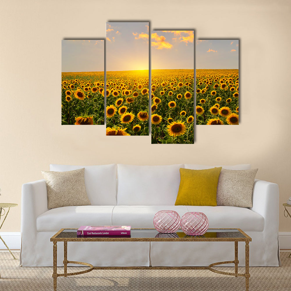 Field of blooming sunflowers on a background sunset Multi Panel Canvas Wall Art