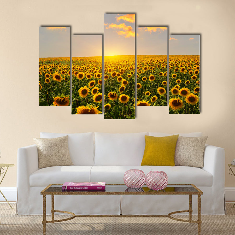 Field of blooming sunflowers on a background sunset Multi Panel Canvas Wall Art