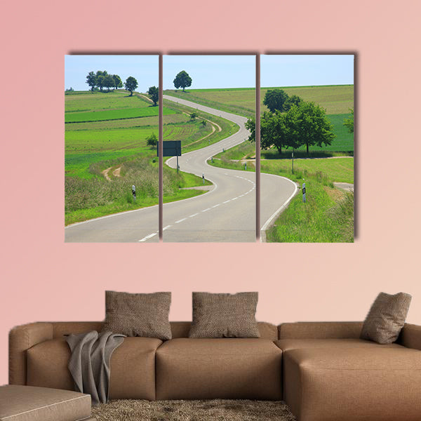 Curvaceous country road on the Swabian Alb, Baden, Germany wall art