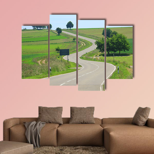 Curvaceous country road on the Swabian Alb, Baden, Germany wall art