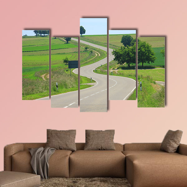Curvaceous country road on the Swabian Alb, Baden, Germany wall art