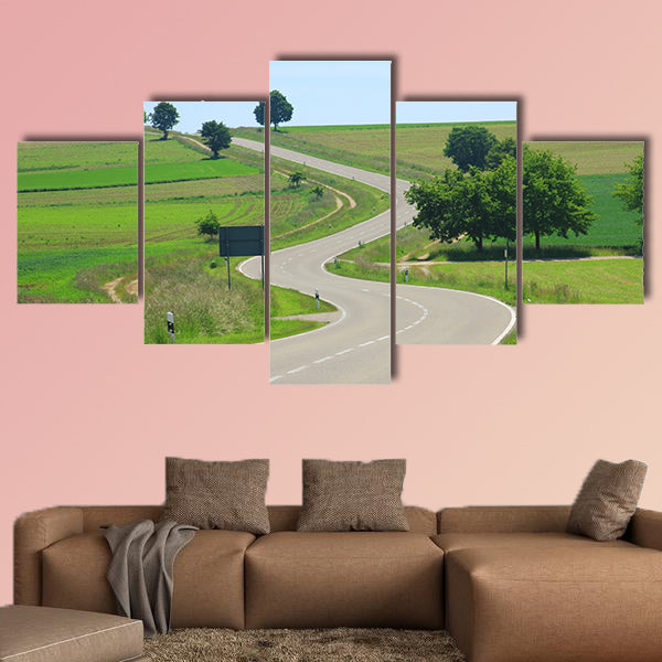 Curvaceous country road on the Swabian Alb, Baden, Germany wall art
