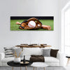 Baseball Glove With Baseball And Bat Lying On Green Grass panoramic canvas wall art