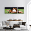 Baseball Glove With Baseball And Bat Lying On Green Grass panoramic canvas wall art