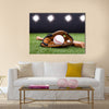 Baseball Glove With Baseball And Bat Lying On Green Grass Multi panel canvas wall art