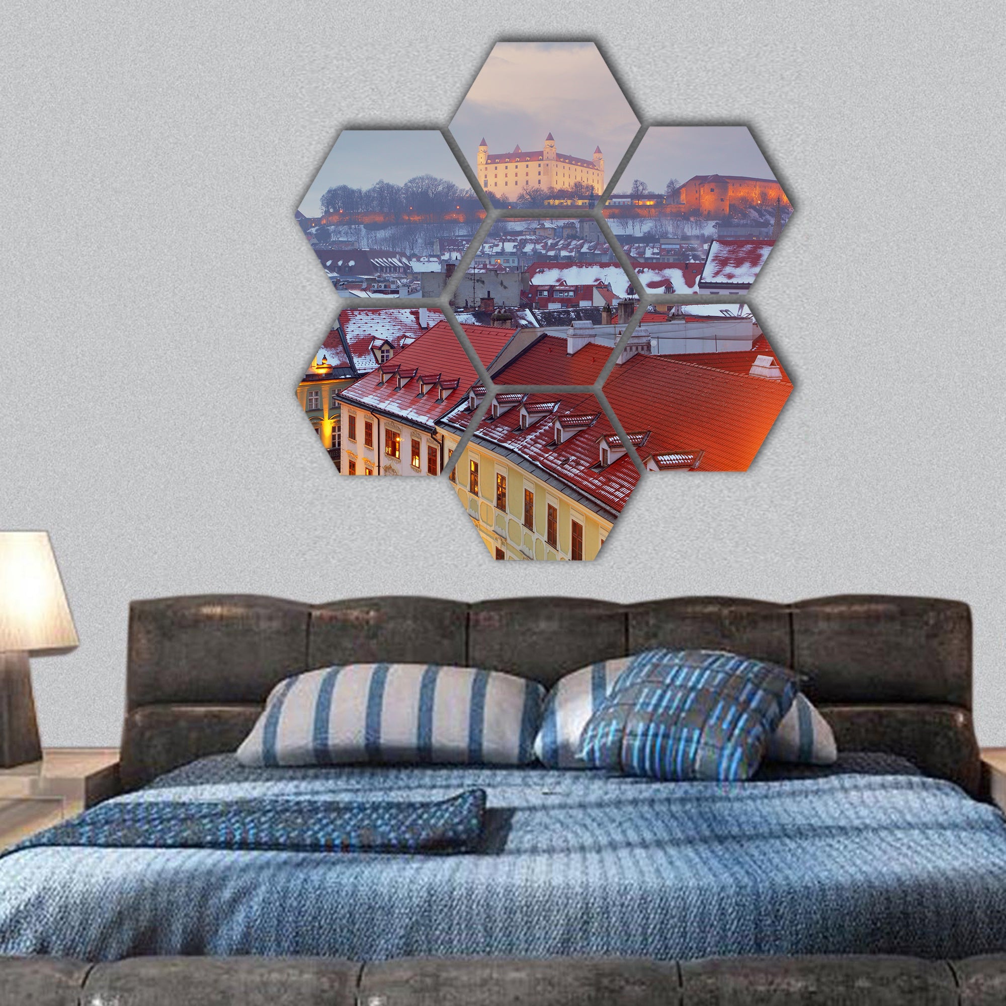 Bratislava Eastern Europe city hexagonal canvas wall art