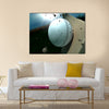 A white leather stitched cricket ball hitting a wooden cricket bat Multi Panel Canvas Wall Art