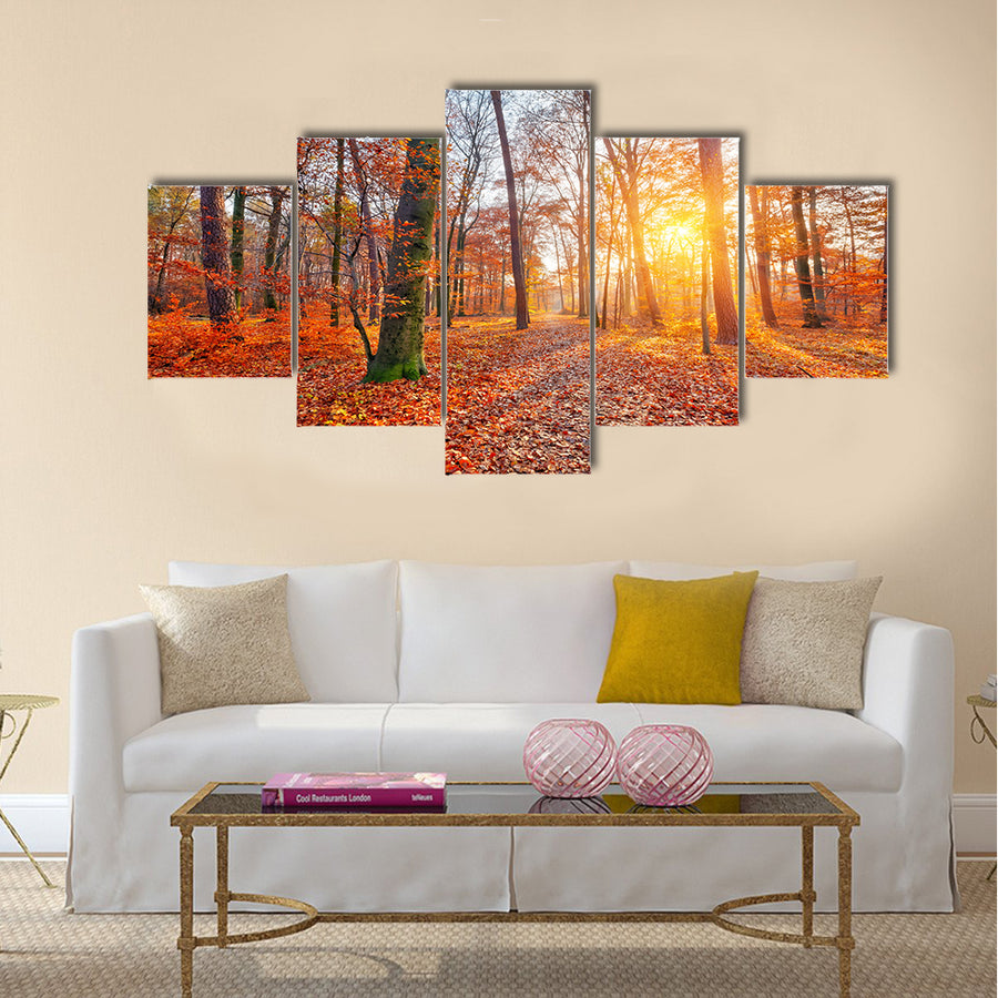 Colorful and foggy autumn forest Multi panel canvas wall art